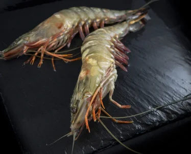 crevettes-gambas-black-tiger