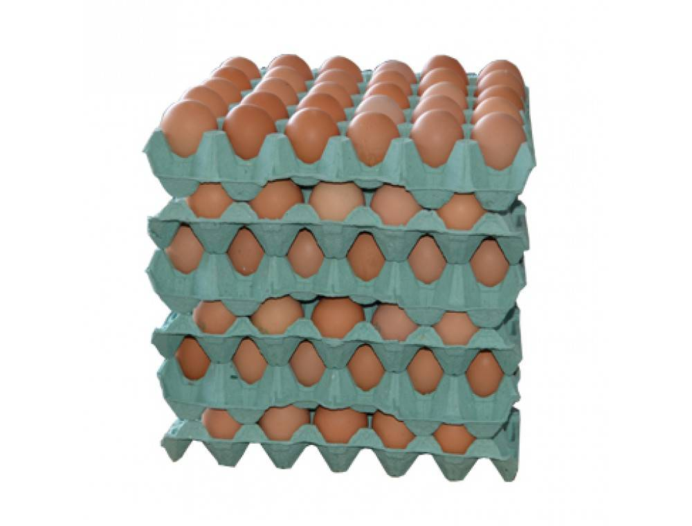oeufs.png Oeufs